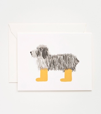 Shaggy Dog Greeting Card