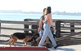 Seacliff State Beach