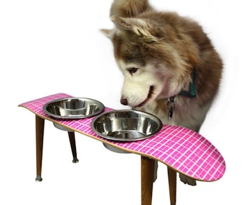 dog at a food bowl