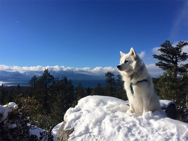 Taking in the view