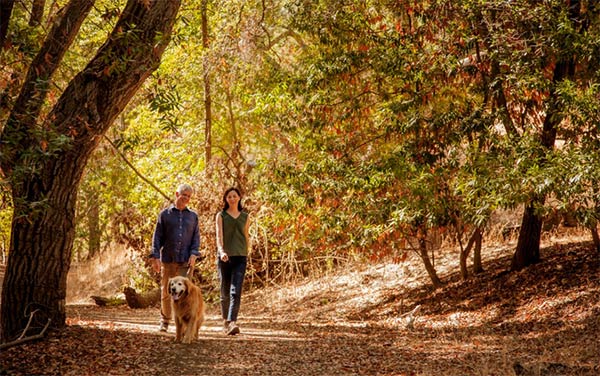 Hiking Stonehurst