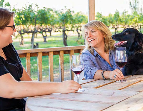 Dog with person at restaurant table in the Livermore valley