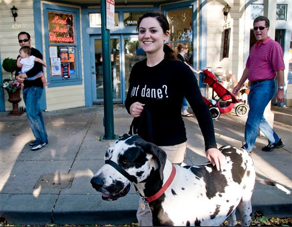 Dog and person walking in the Tri-Valley