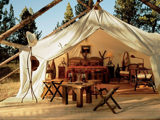 Dog looking at a glamping tent