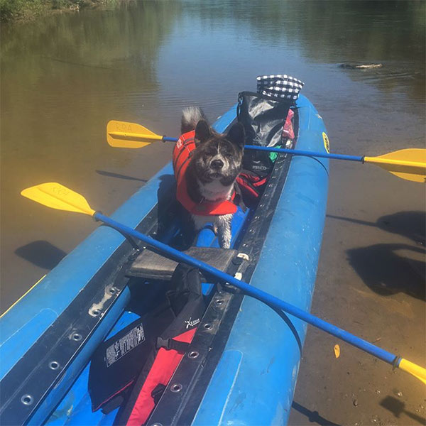 Big blue canoe