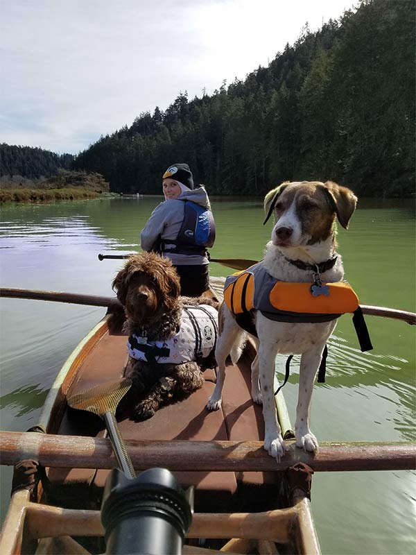 Dogs ready to go on a Stanford Inn DogCation