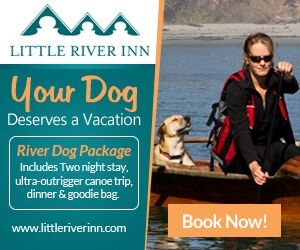 River dog at Little River Inn ad