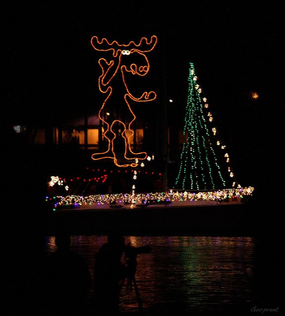 Dog at annual tree lighting ceremony at Jack London Square in Oakland