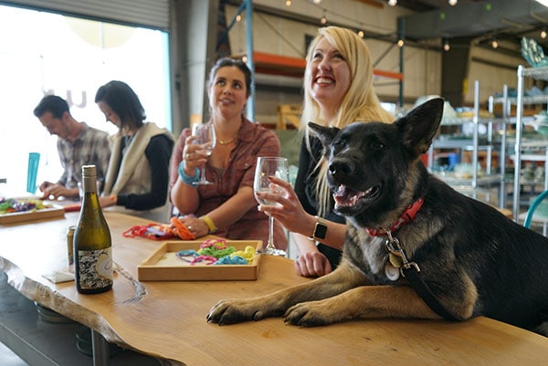 Enjoying a glass of wine with your dog (no wine for the dog)