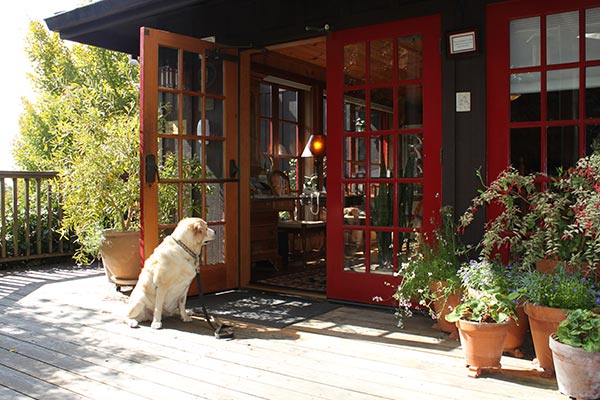 Kayla at the front door of the dog-passionate Stanford Inn