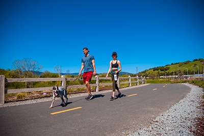 Taking a walk in Gilroy