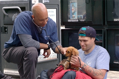 The Street Vet