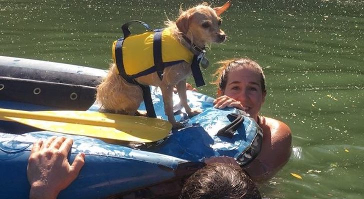 Dog and person getting ready at Russian river adventures