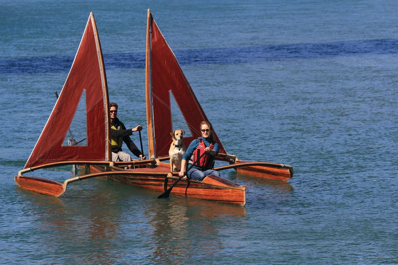 Dogs on a boat near the Stanford Inn