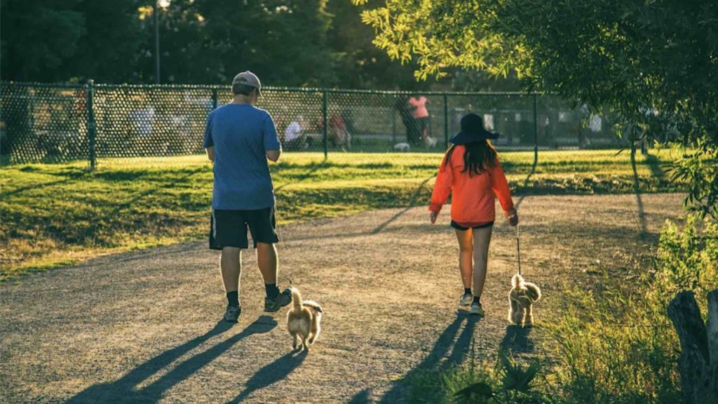 2 people hiking with dogs in Concord