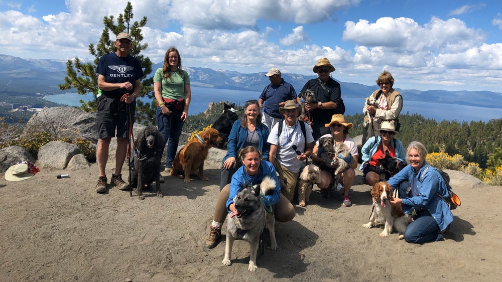 Wild Blue Dogs Camp dogs and people