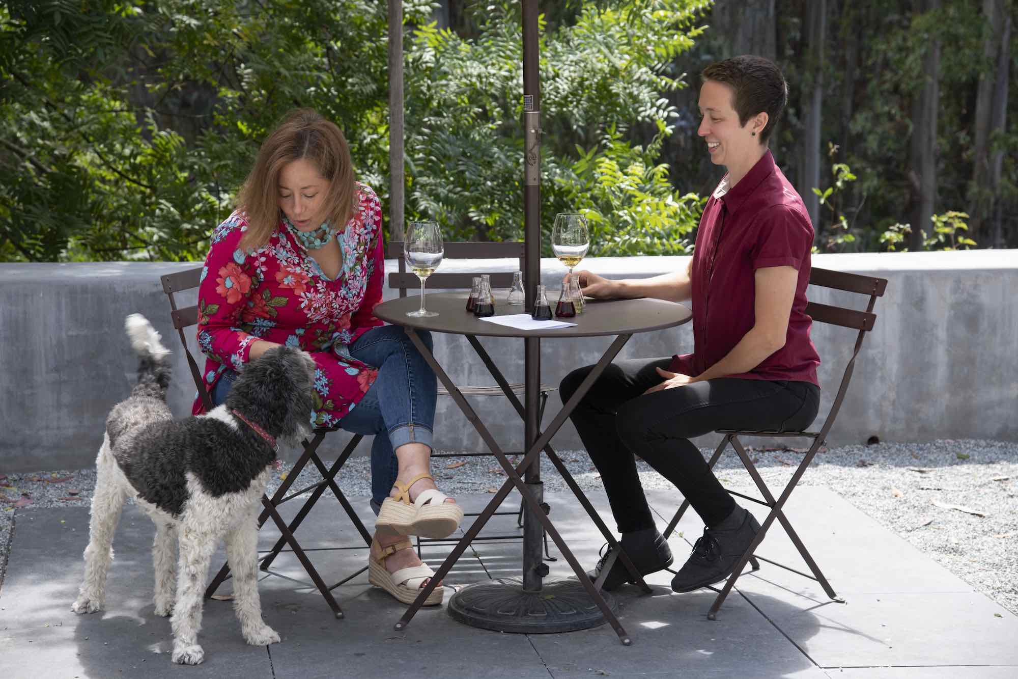 People and dog at a mountain winery