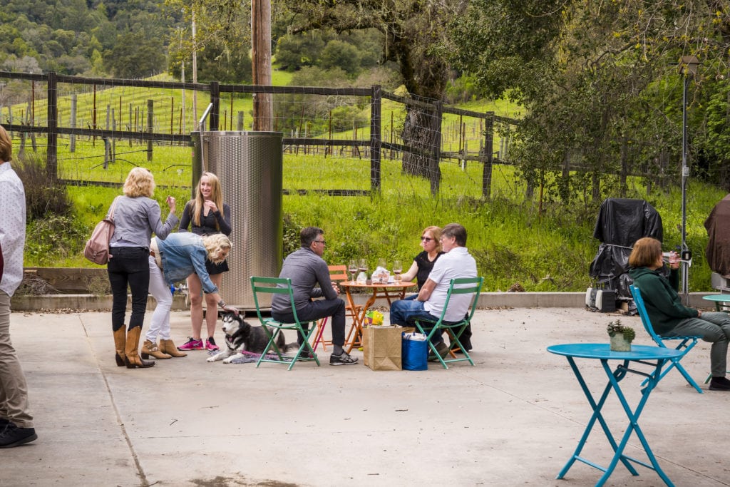 Dog-friendly restaurant table in Gilroy