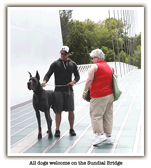 Tails on Trails: All Dogs Welcome!