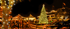 Yountville Festival of Lights