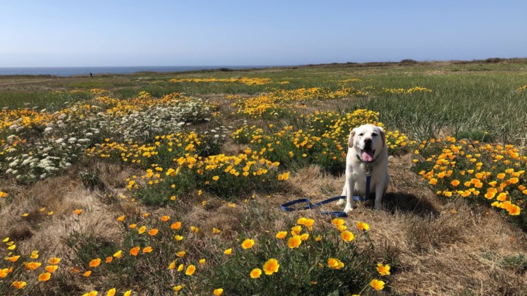 Maya at the North Coast. Photo by Dave Kendrick