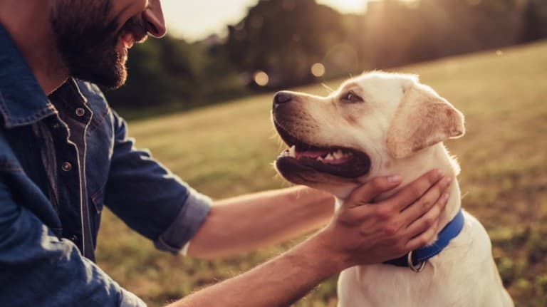 Man petting dog