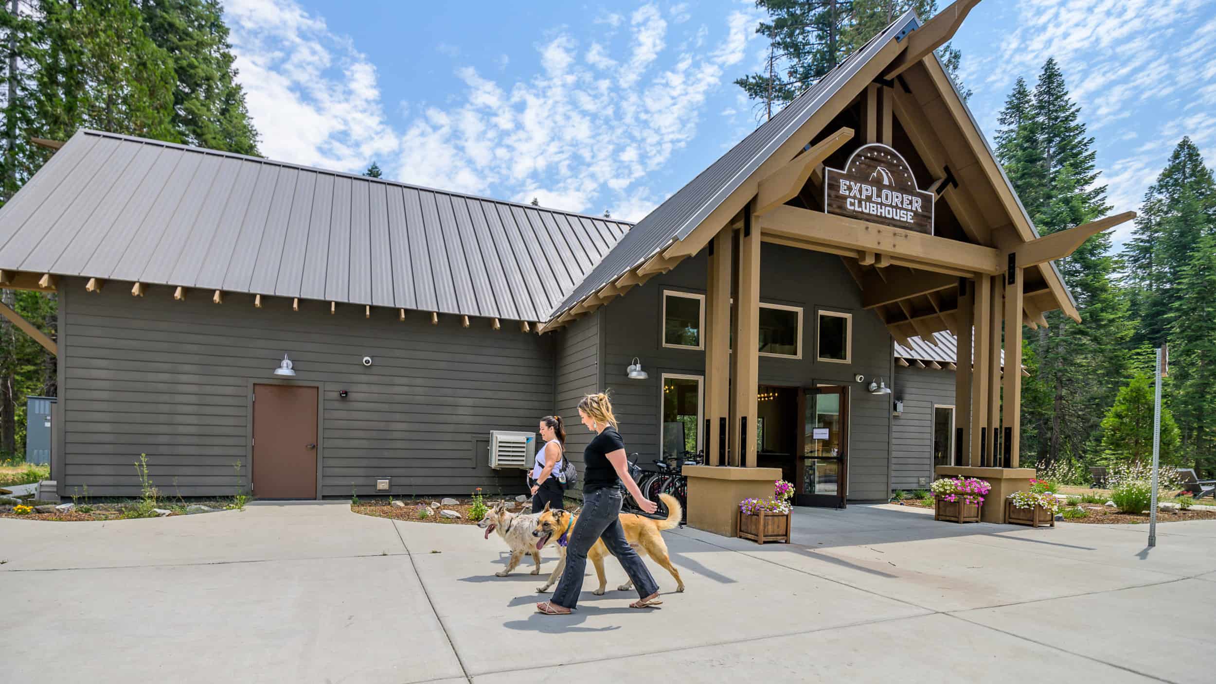 Dogs welcome at Tehaya at Yosemite Explorer Cabins.