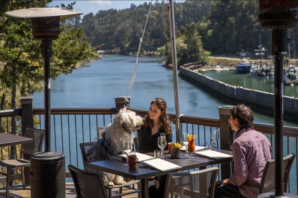 woman, man and dog sit at table on outdoor patio overlooking the water