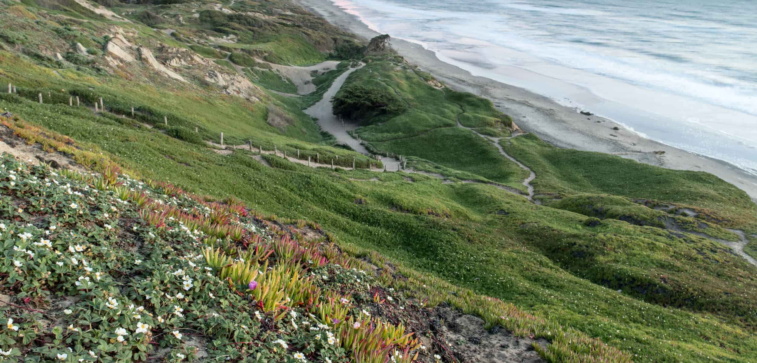 Fort Funston Coastal Sunset. Golden Gate National Recreation Area, California, USA.