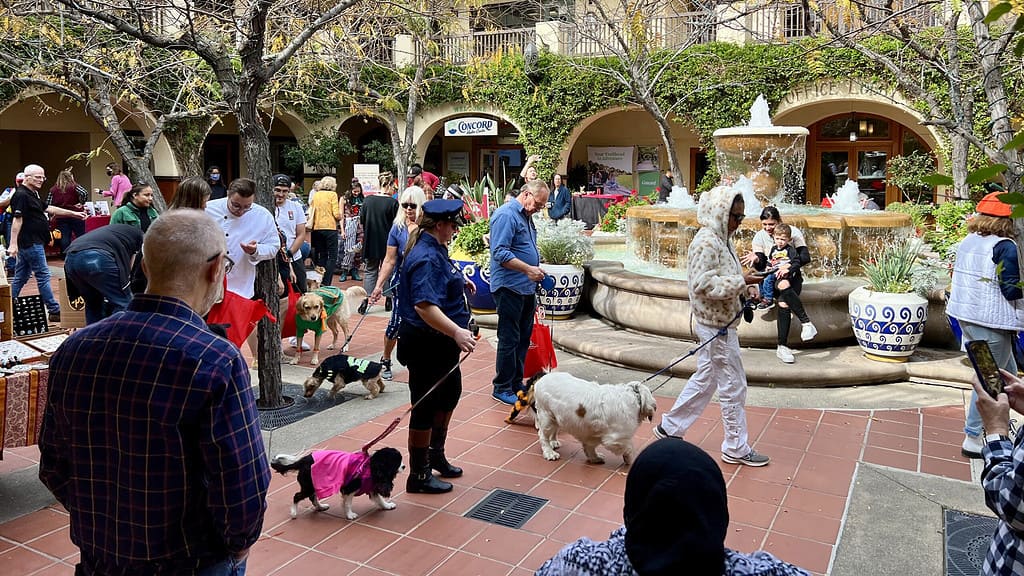 Dogs in costumes at the Annual Perro Costume Parade in Concord.