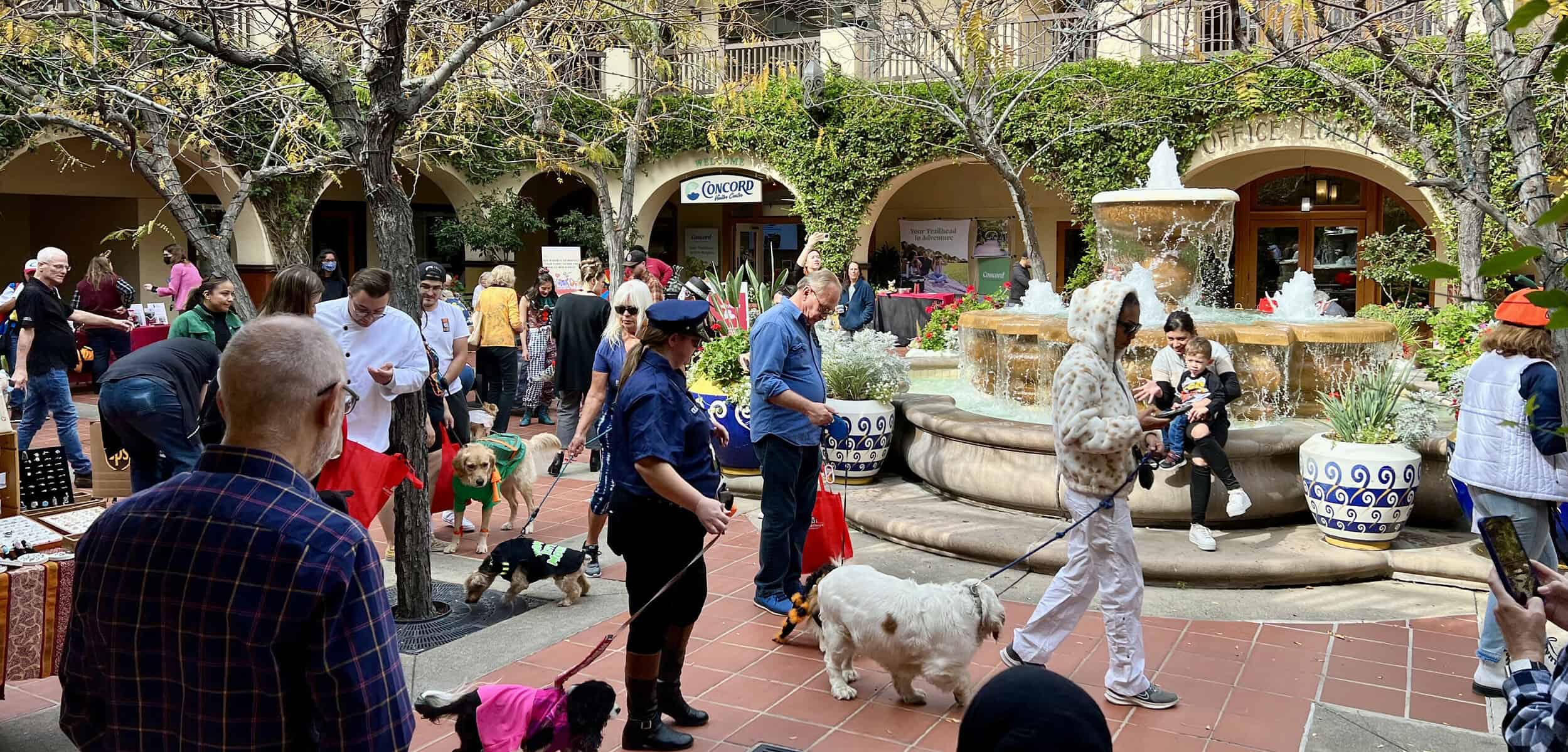 Dogs in costumes at the Annual Perro Costume Parade in Concord.