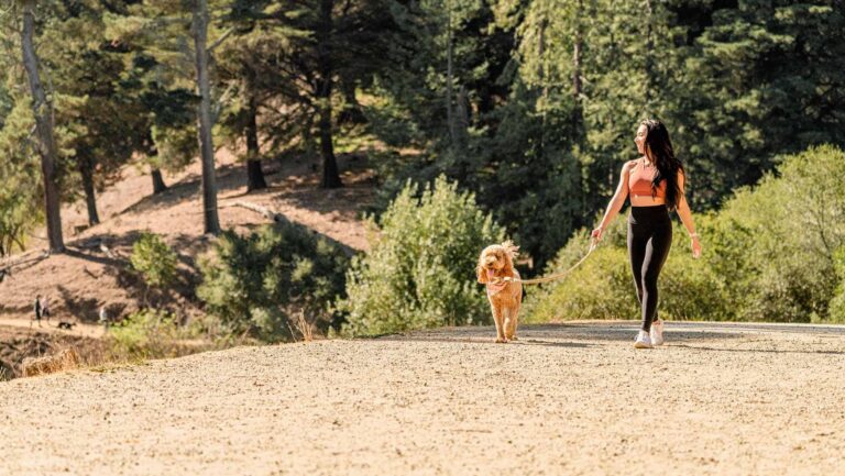 Dog and woman walking