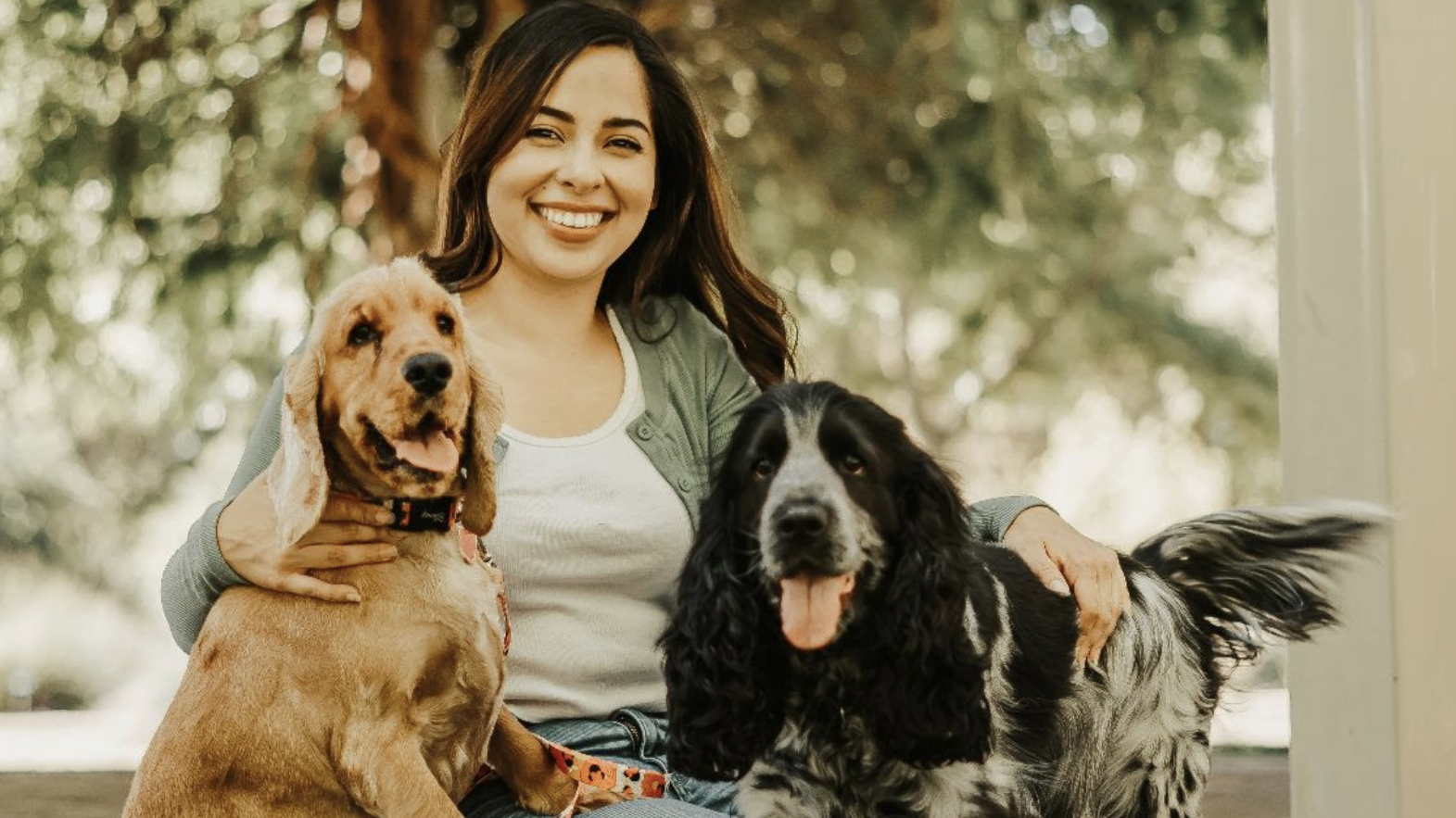 Brandy and pups in Concord.